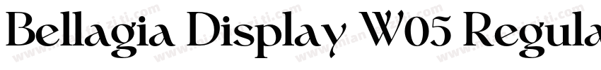 Bellagia Display W05 Regular字体转换
